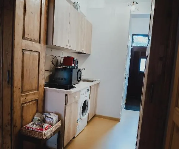 The Downtown Nest Apartment Cluj-Napoca